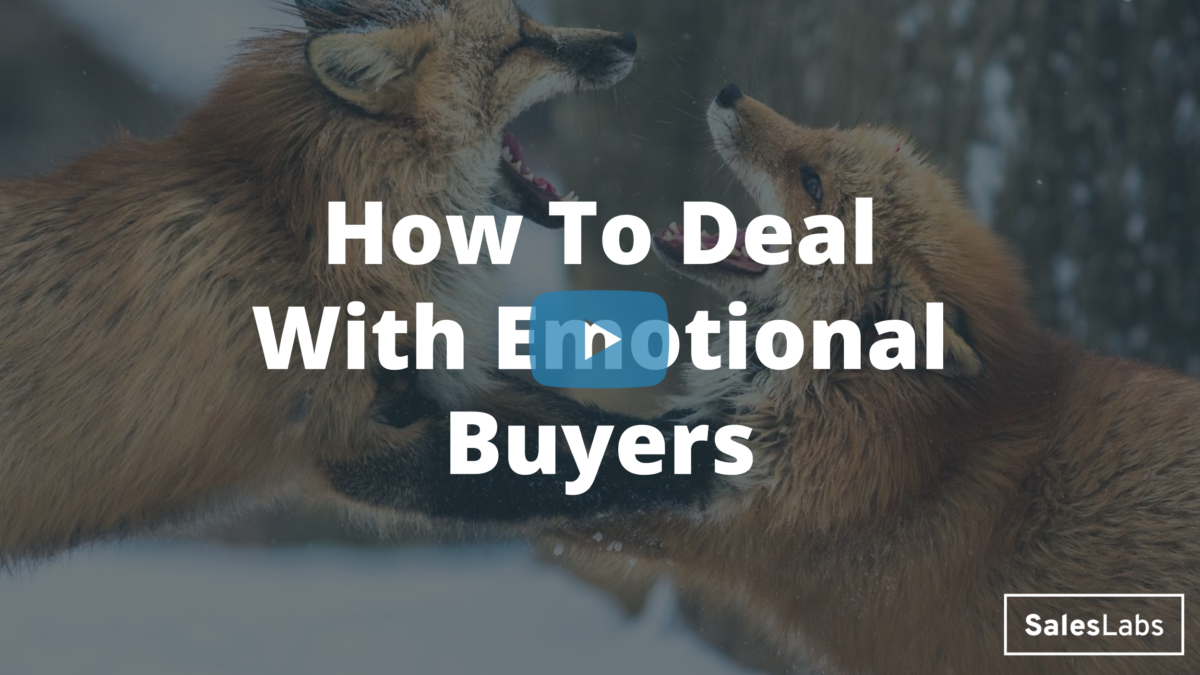 How To Deal With Emotional Buyers